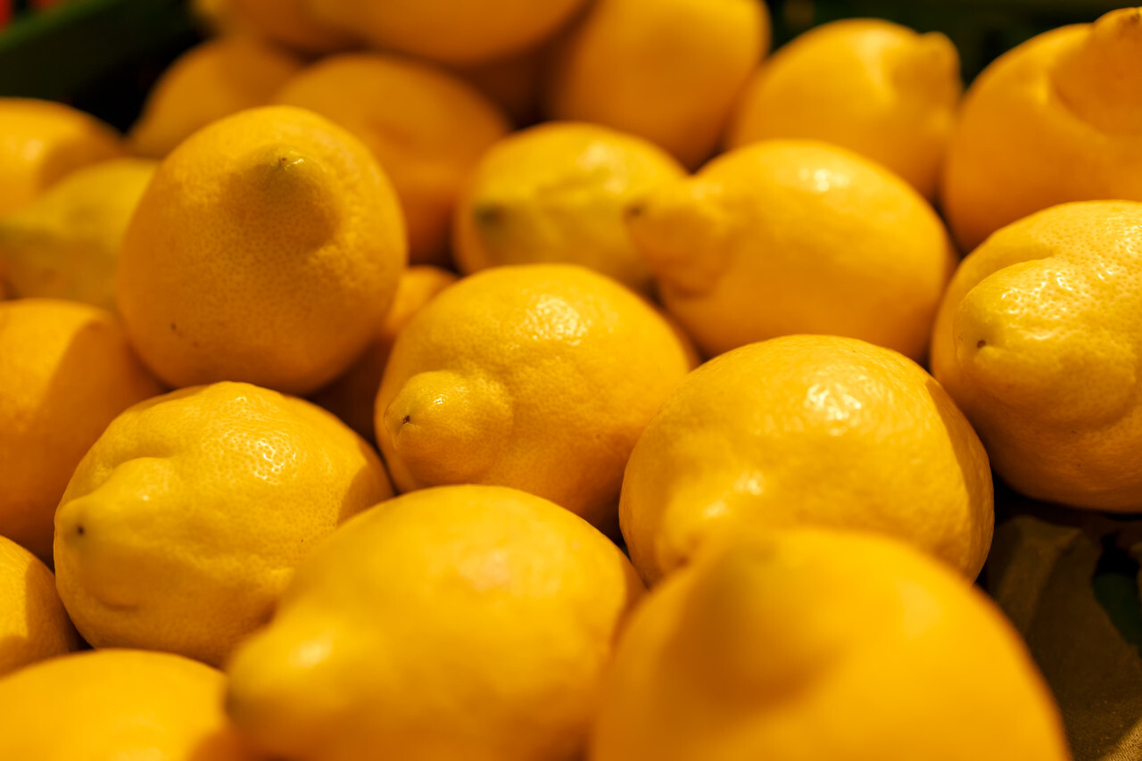 Many lemons in pile background