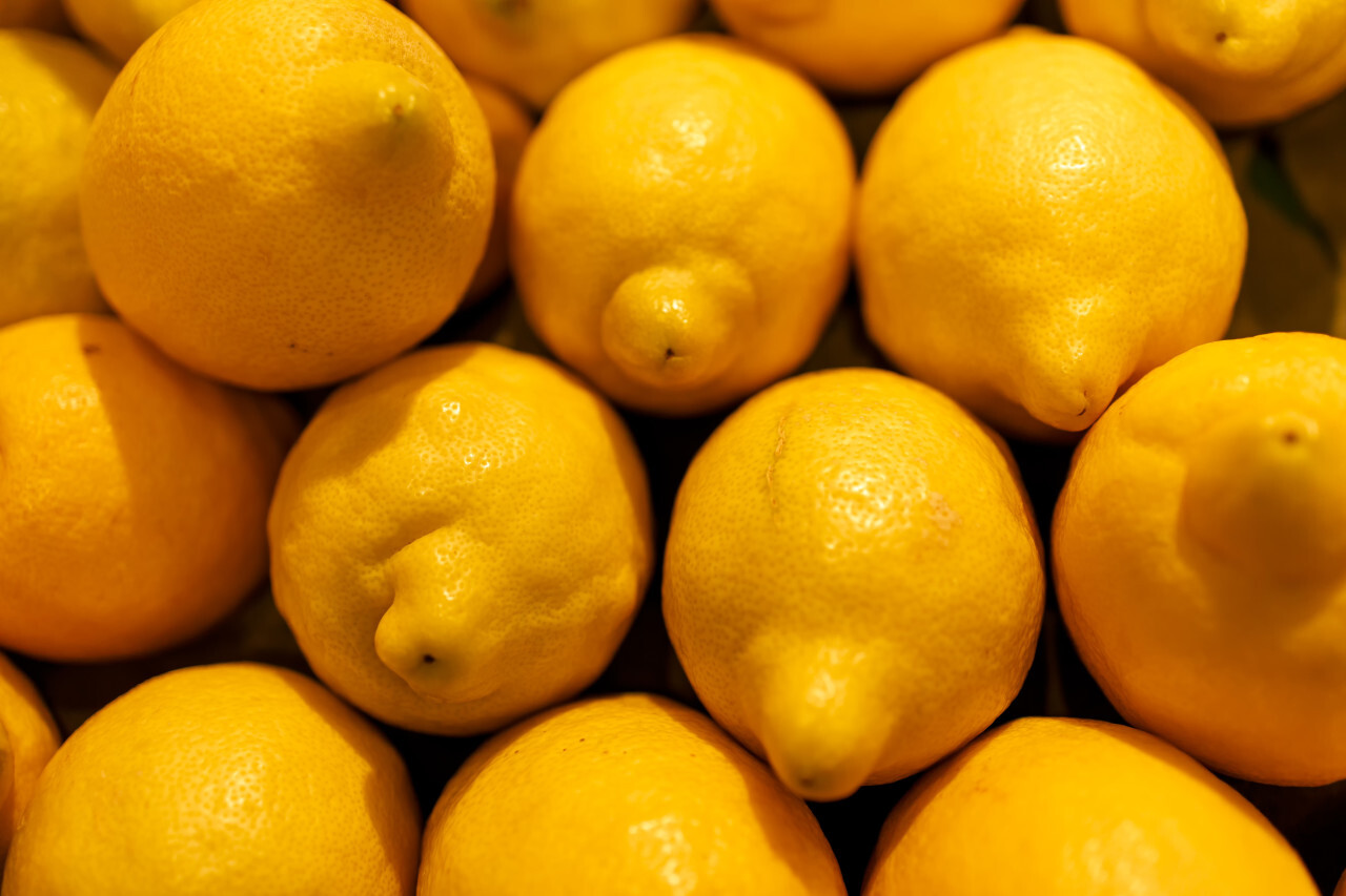 Many lemons in pile background