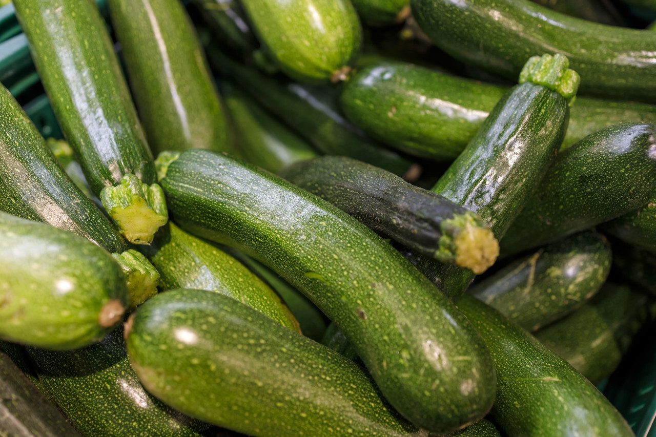 fresh zucchini on the market background