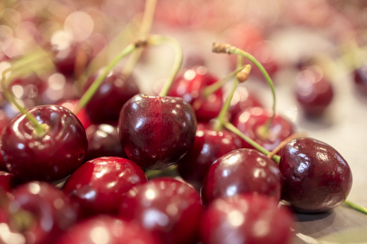 Pile of Cherries at the market