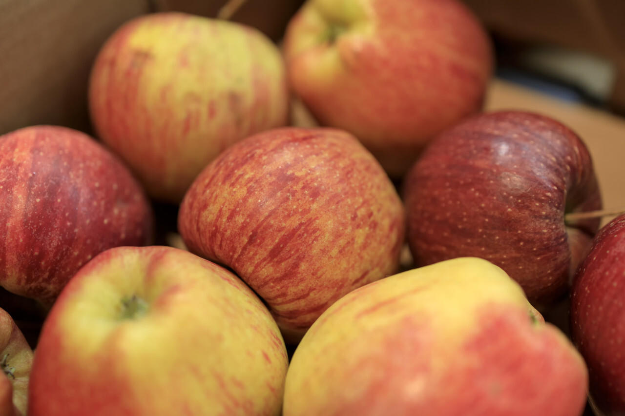 Red Apples from the market