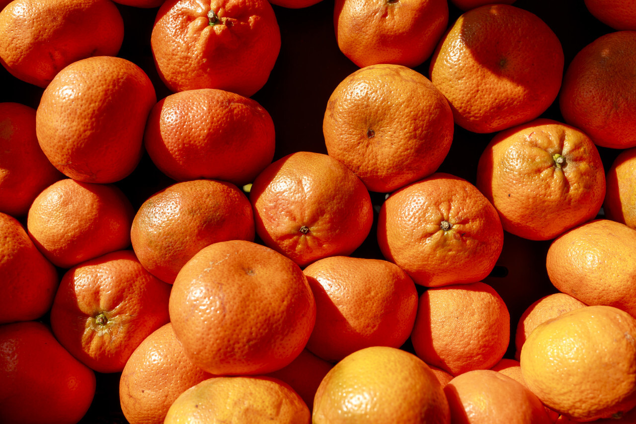 Background of ripe mandarins for sale at the fruit market