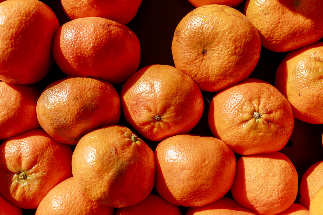 Background of ripe mandarins for sale at the fruit market