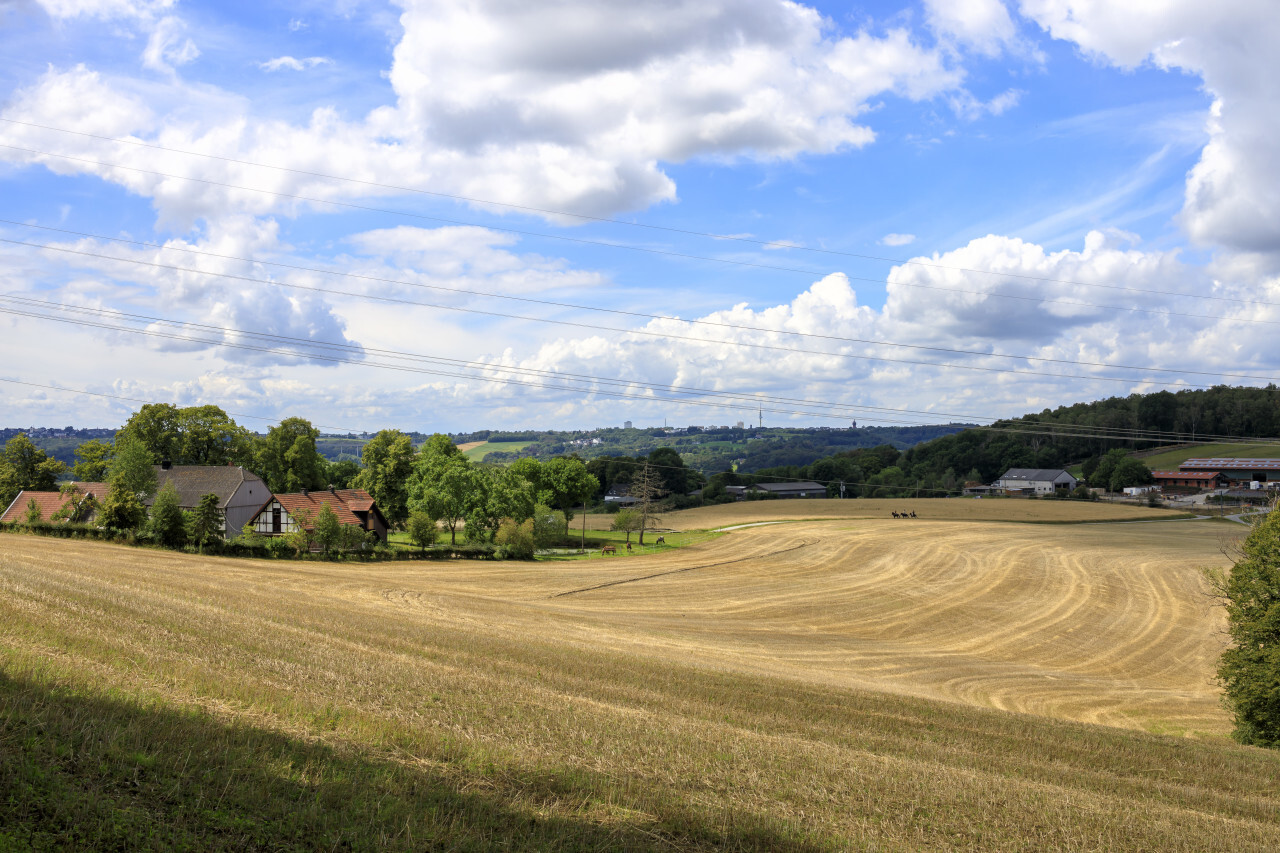 German Rural Landscape under a beautiful cloudy blue Sky