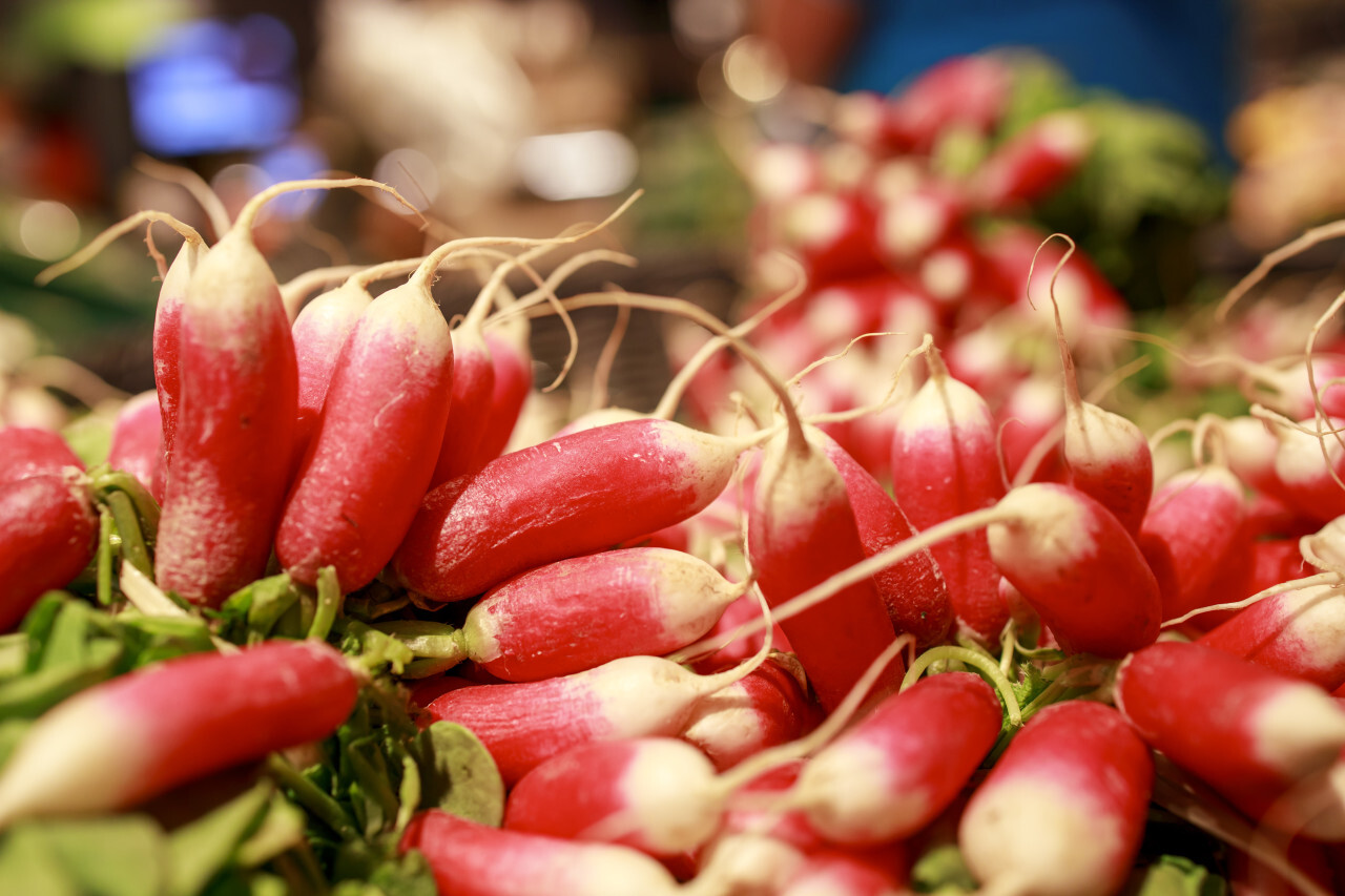 Radishes are displayed on a market stall