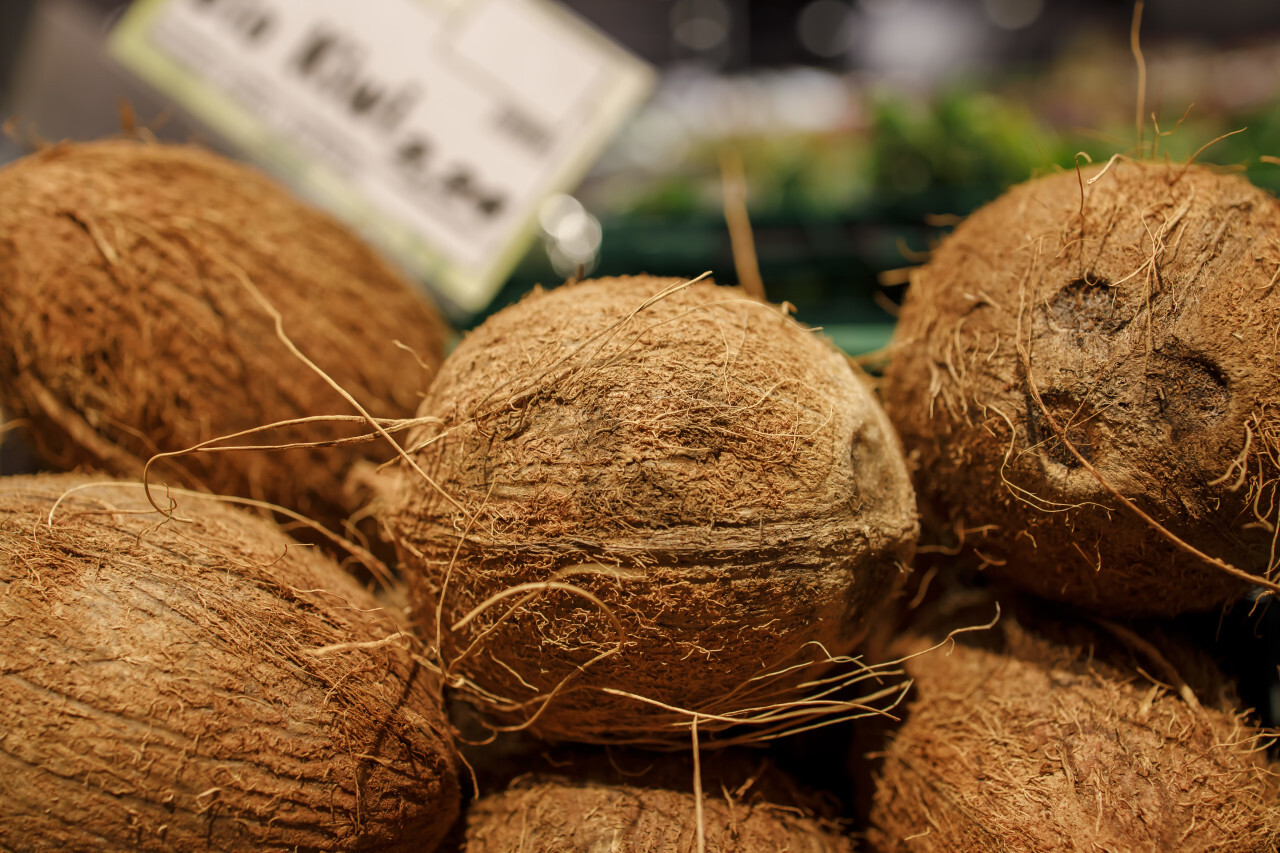 Coconuts on a market