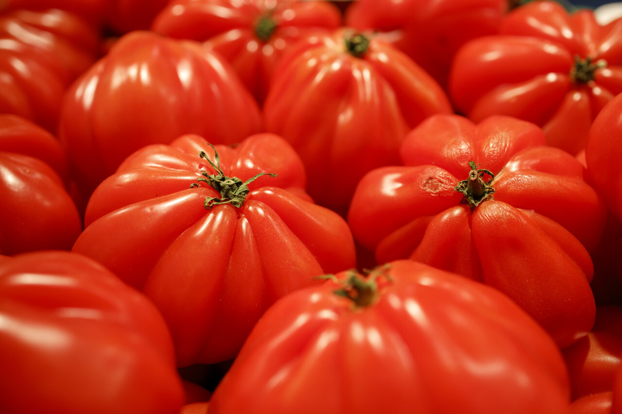 Fresh Heirloom Tomatoes