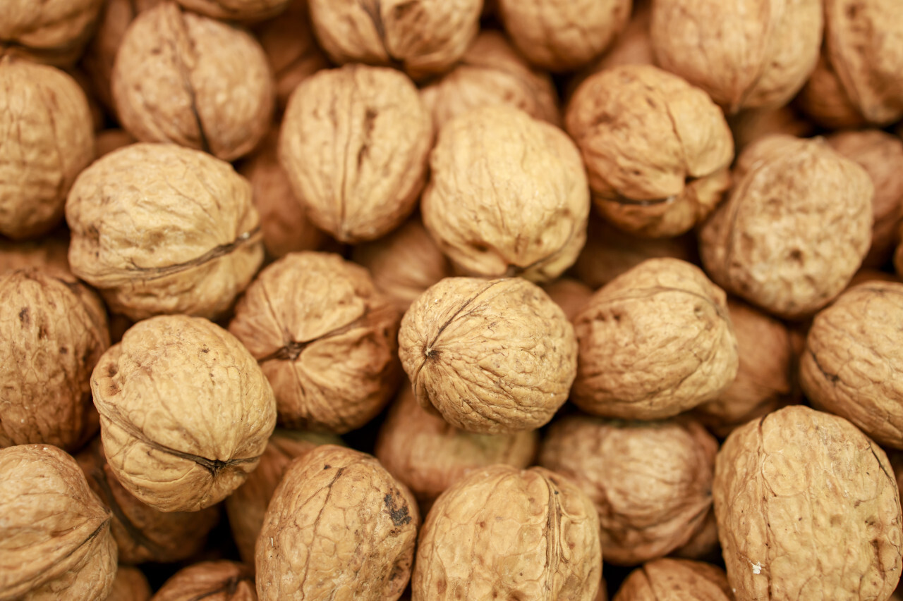 walnuts background