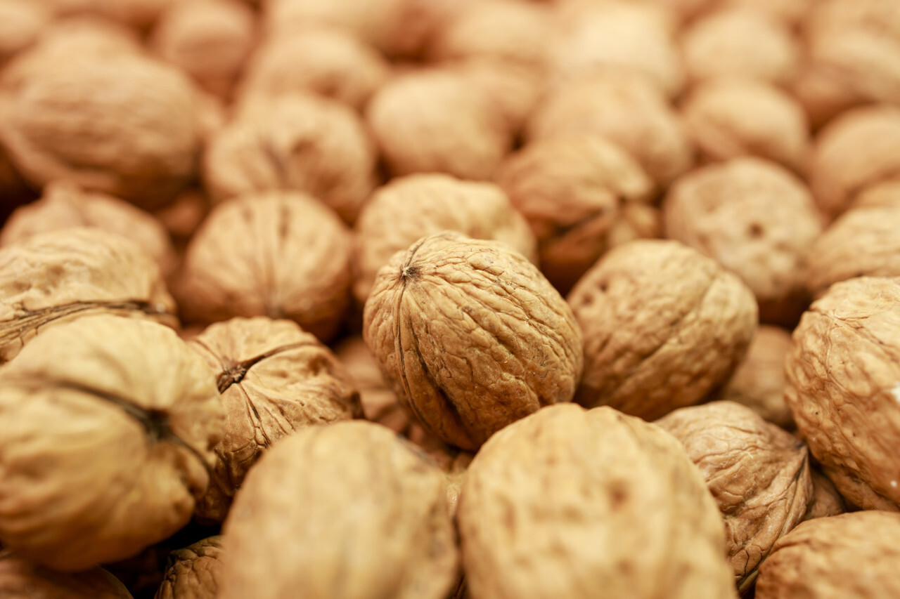 walnuts