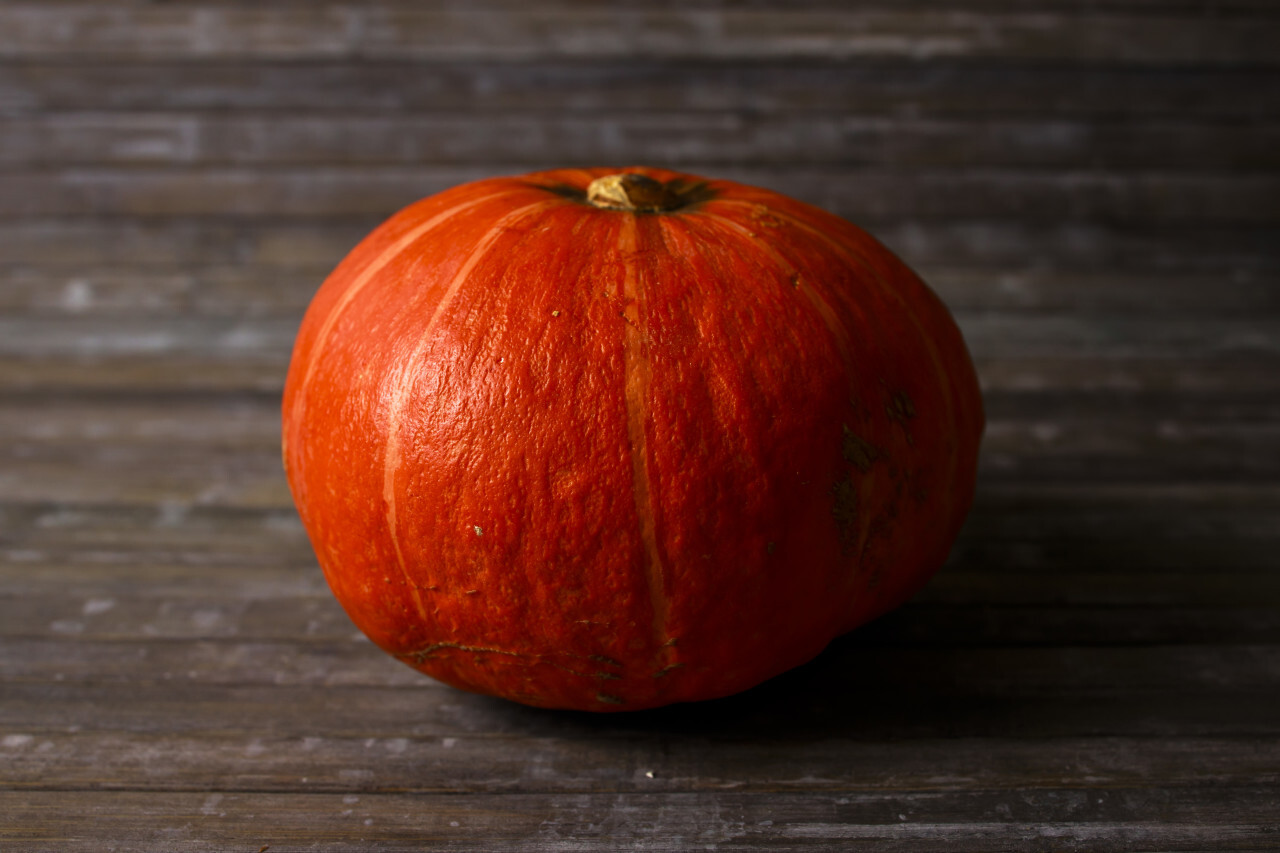 Orange Pumpkin on wooden background