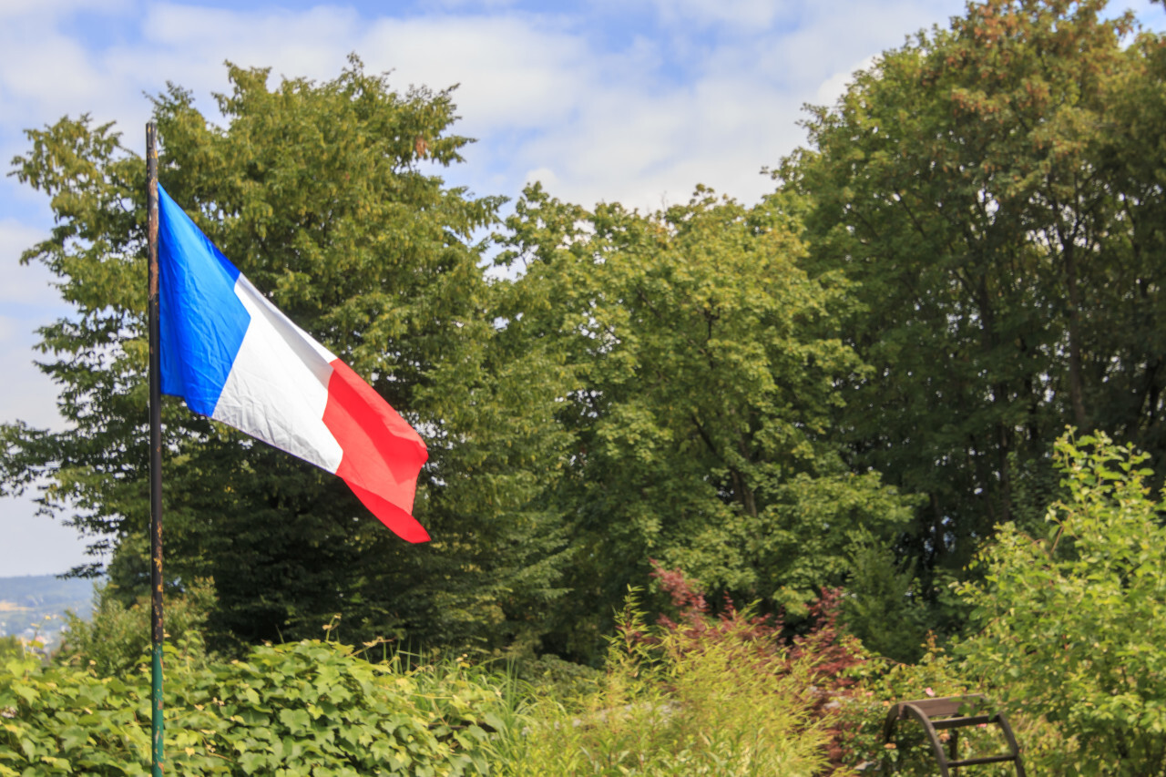 French flag in a garden