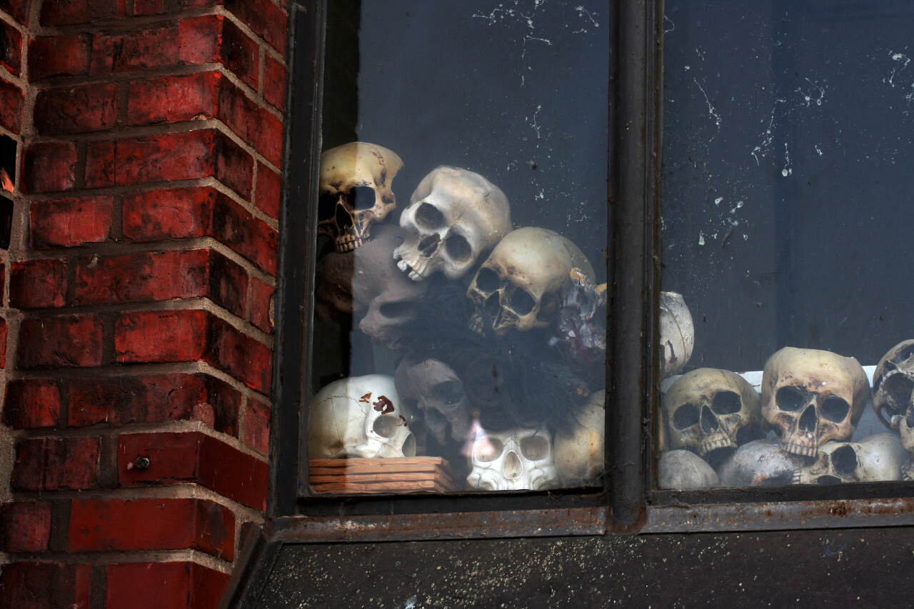 skulls in window