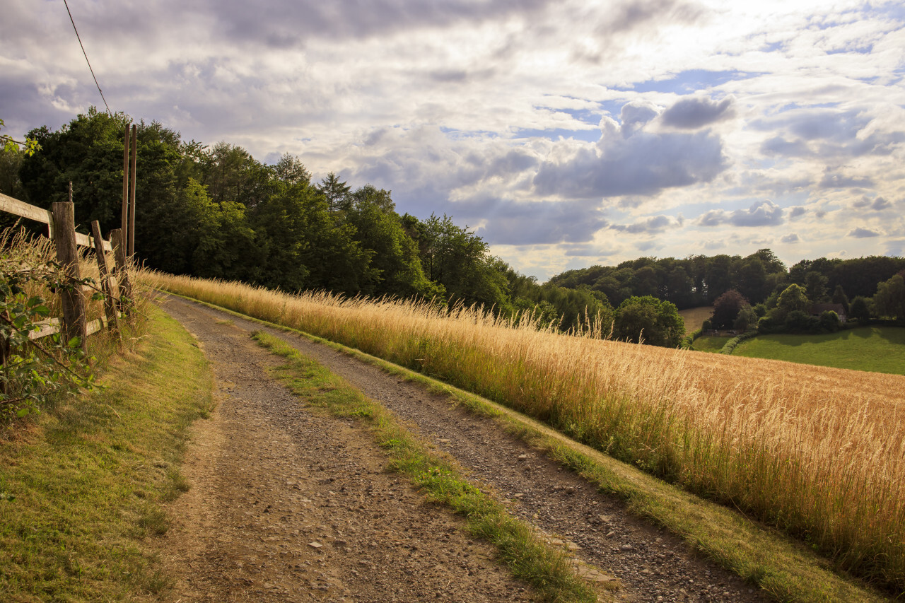 Country road in Germany