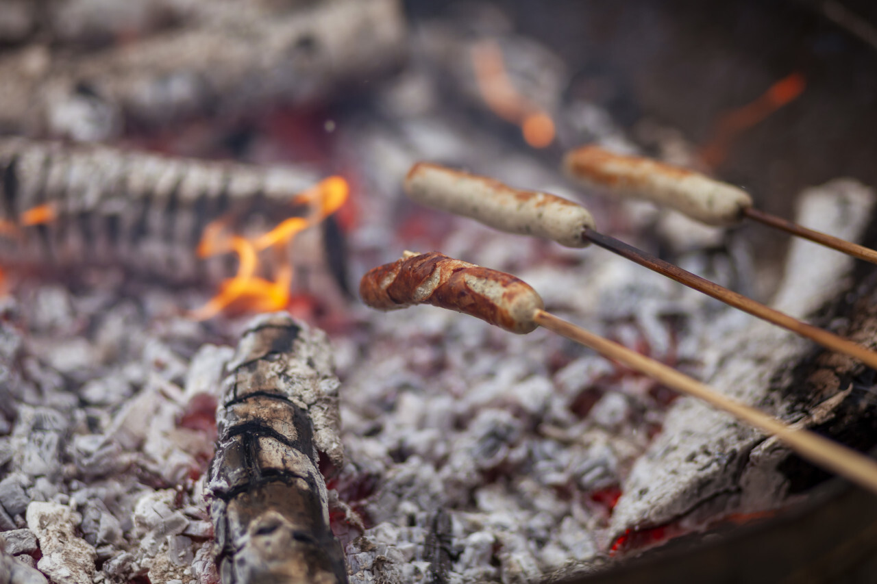 Barbecue sausages on sticks in bonfire