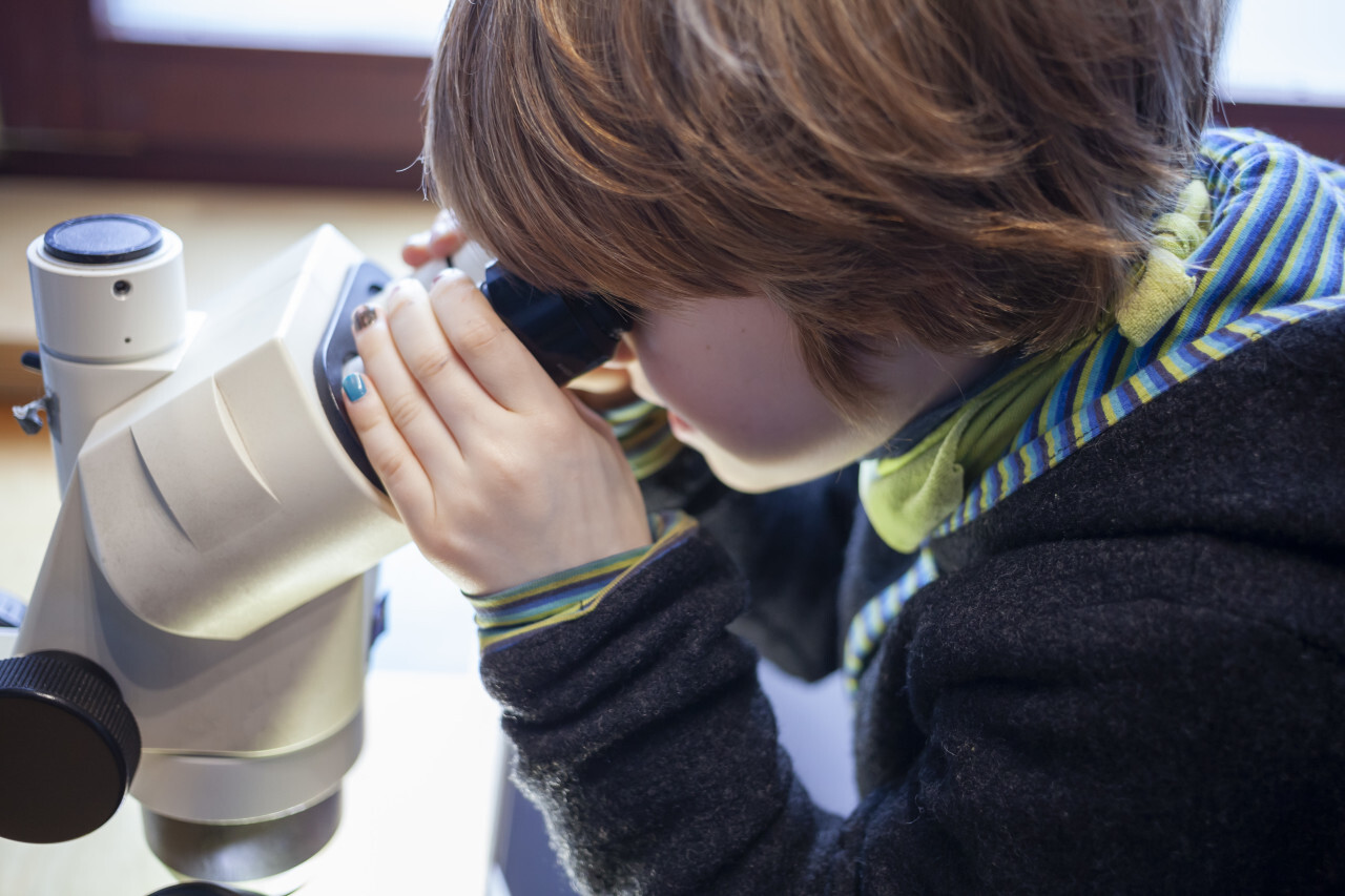 Little boy on a microscope