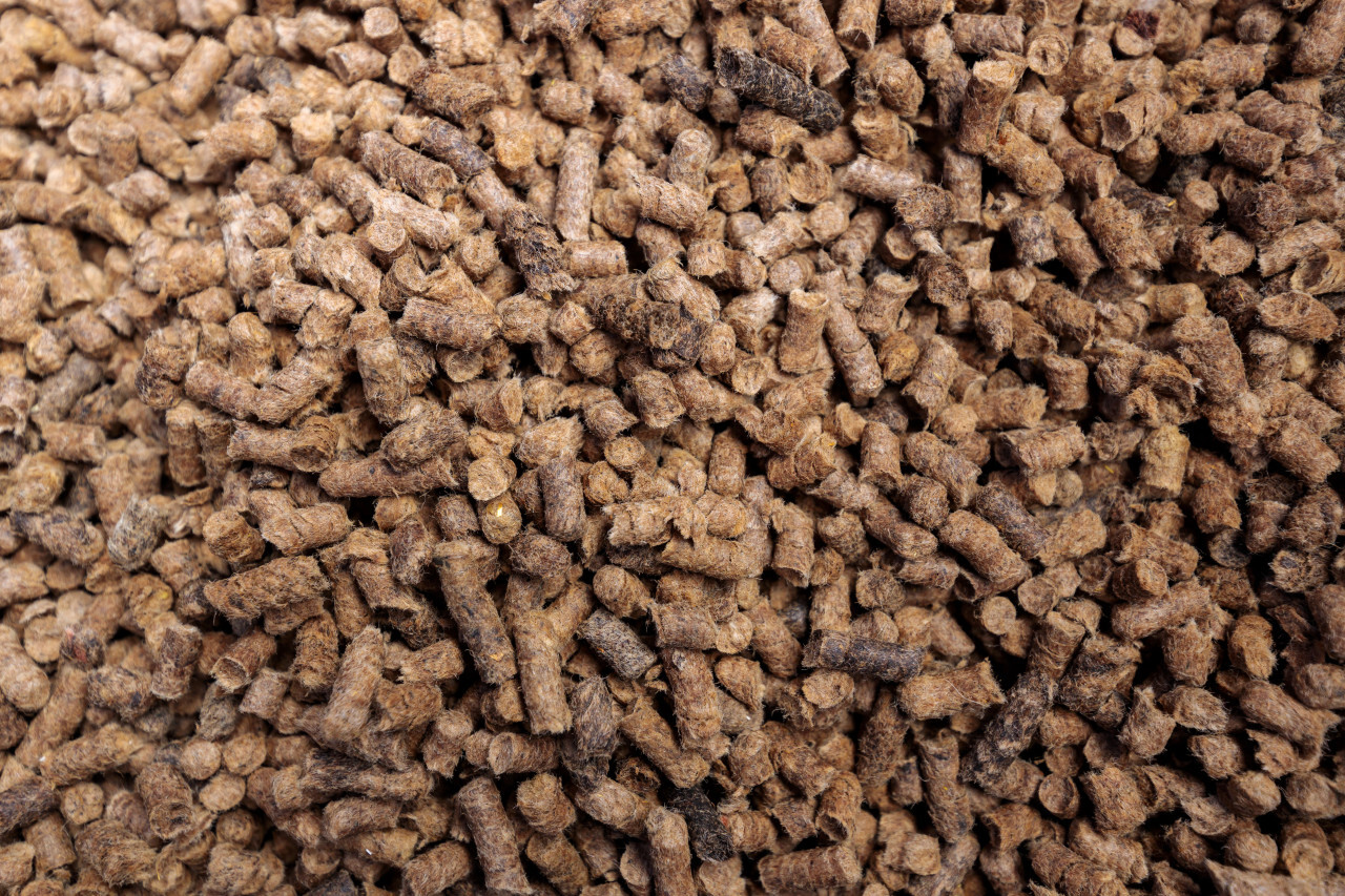 Sheep wool fertilizer pellets