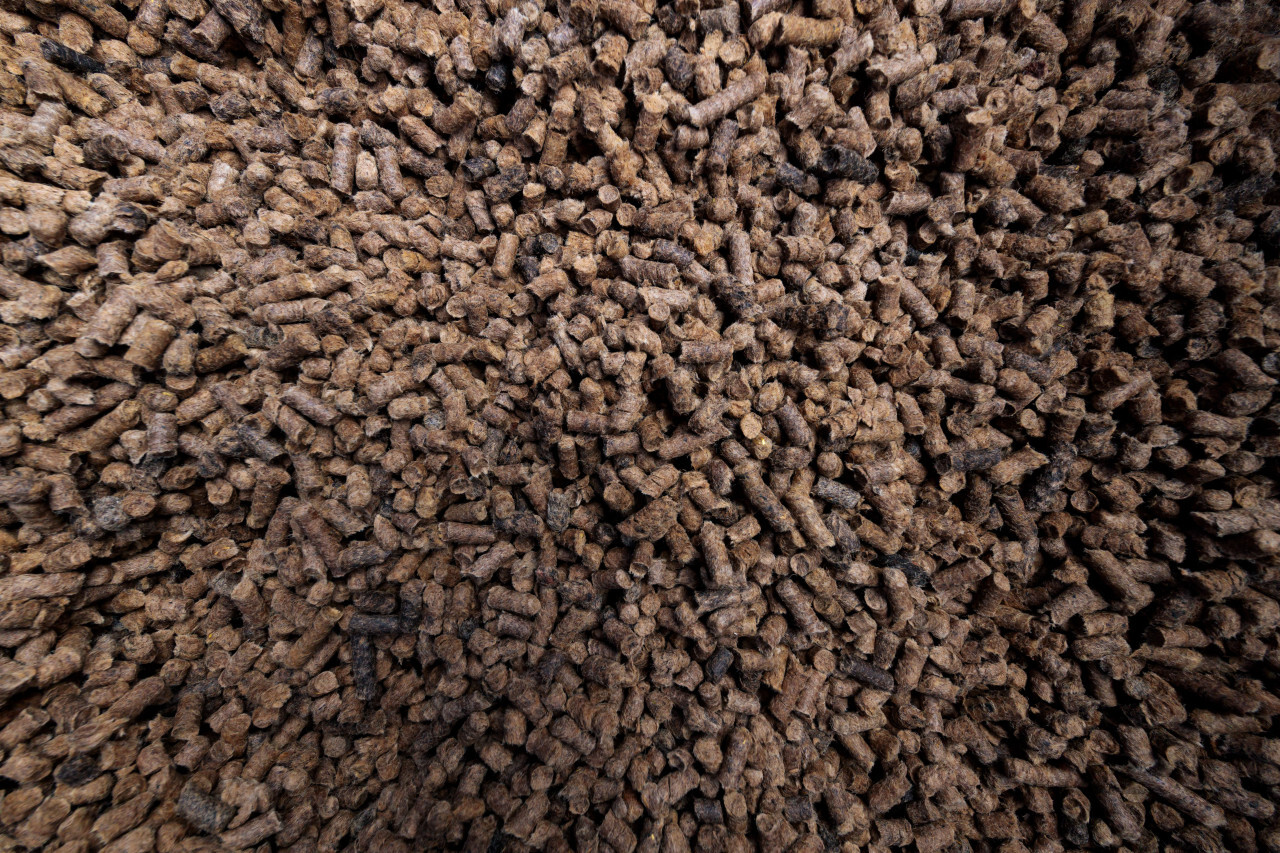 Sheep wool fertilizer pellets