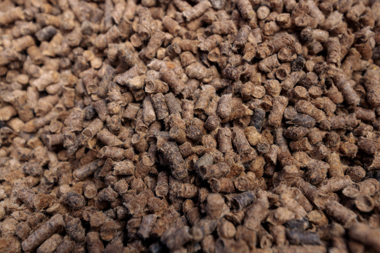 Sheep wool fertilizer pellets