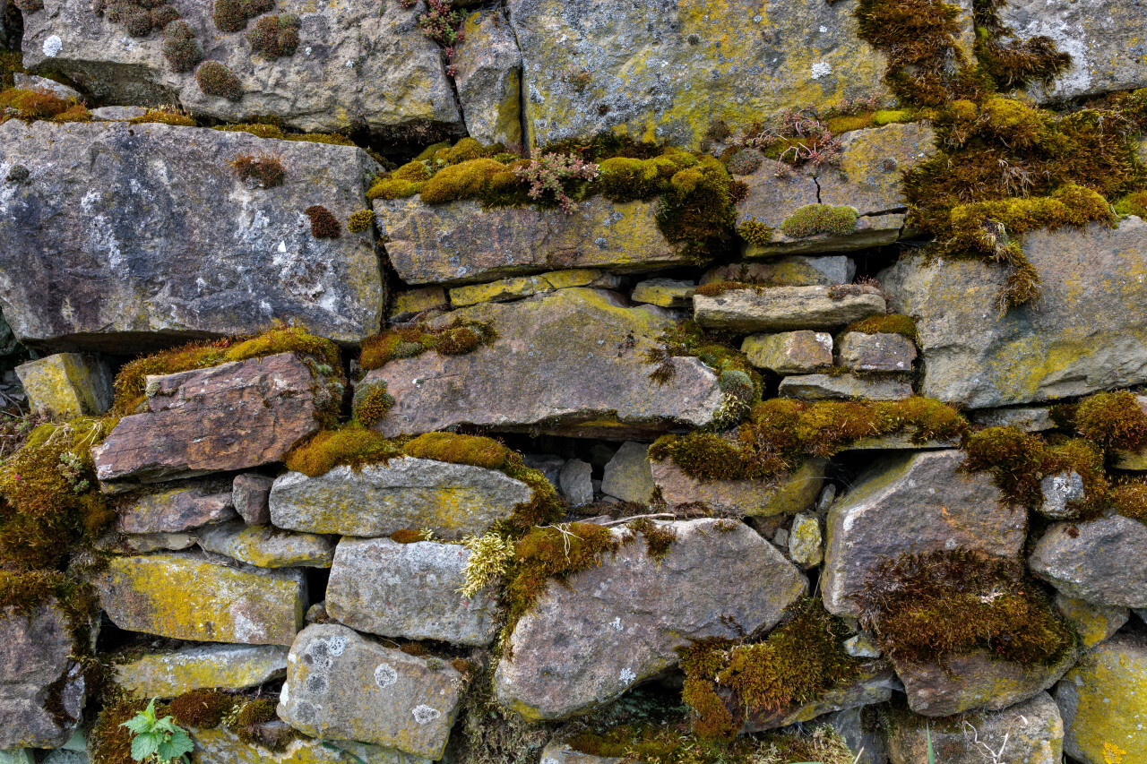 Moss covered stone wall texture