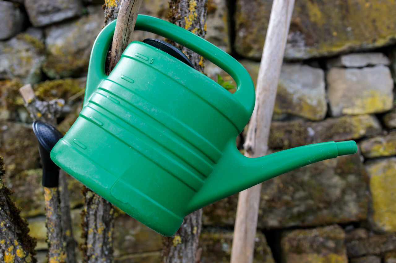 Green watering can in front of a stone wall