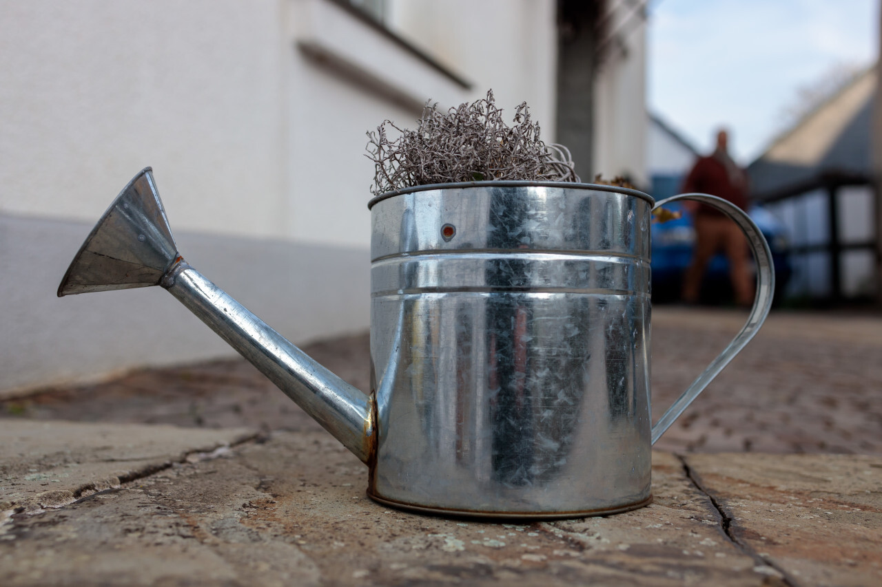 silver watering can