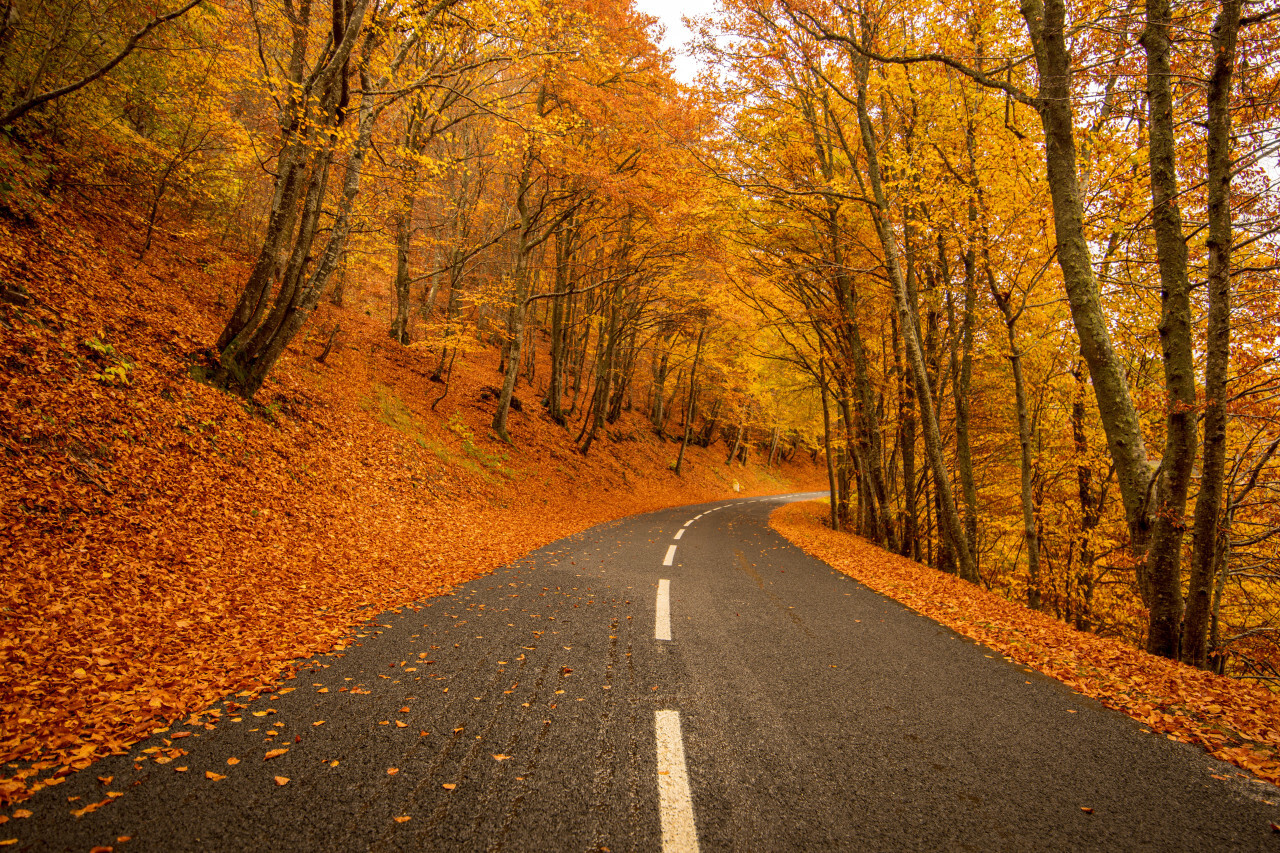 Romantic country road in autumn