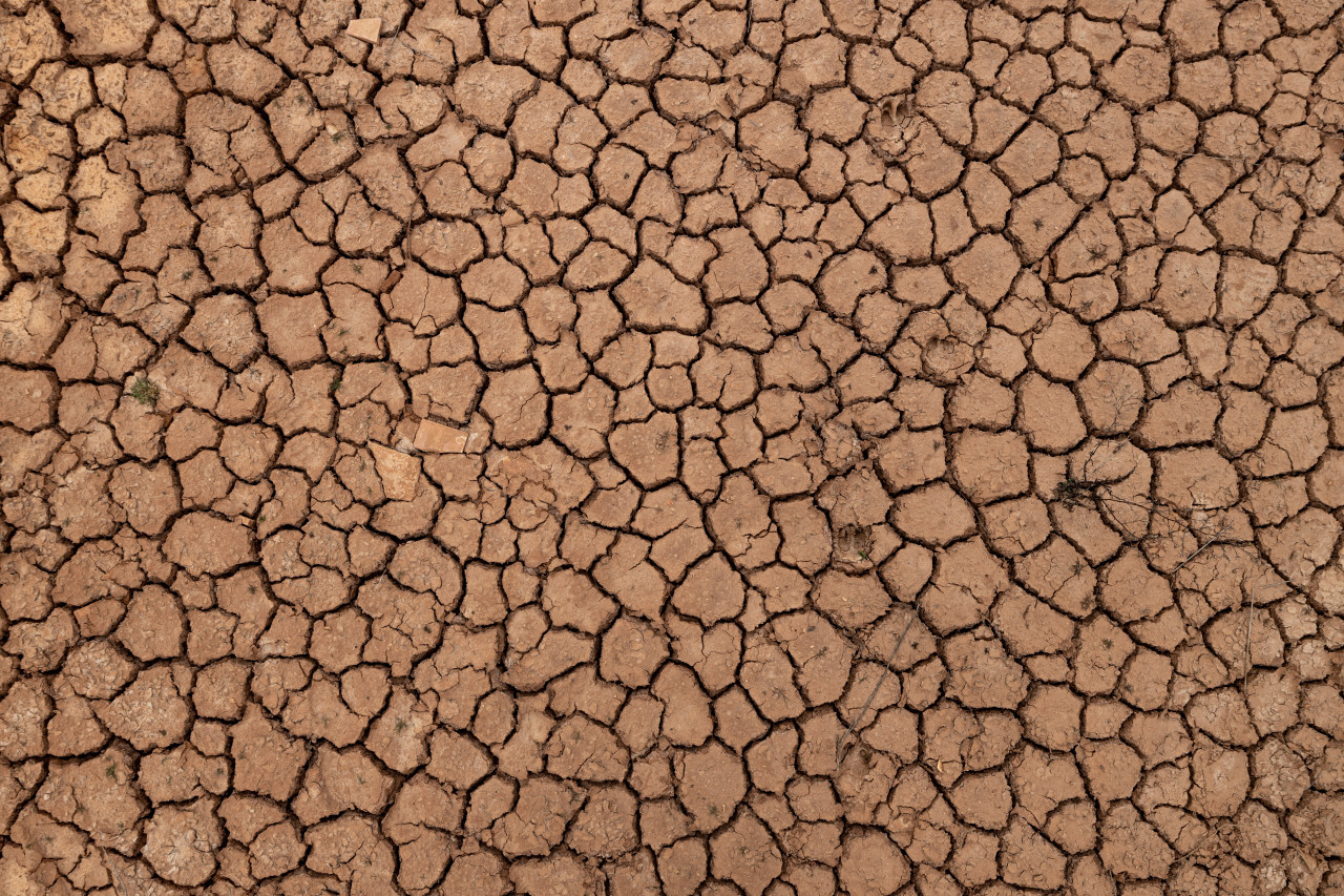 Cracks in the ground due to drought