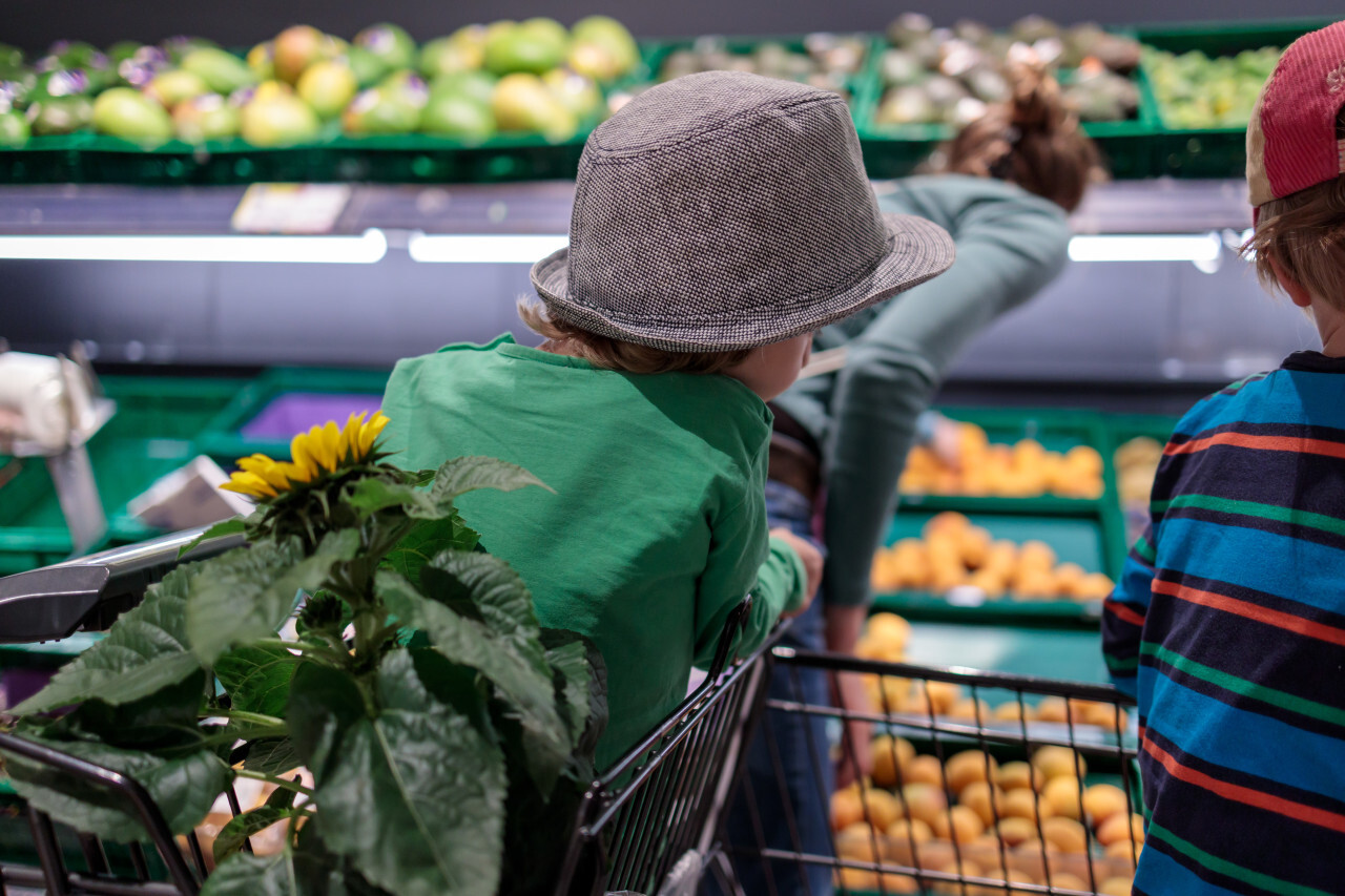 Mother with two children in a shopping trolley in the supermarket