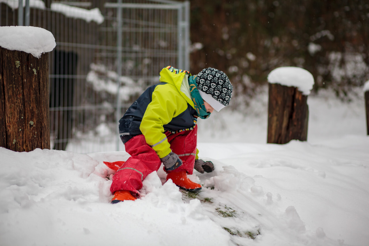 Boy sits down on his sledge