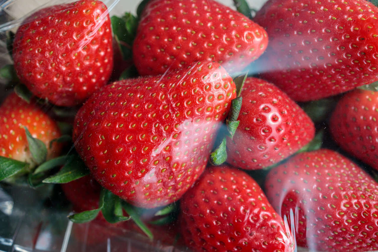 Strawberries in plastic packaging