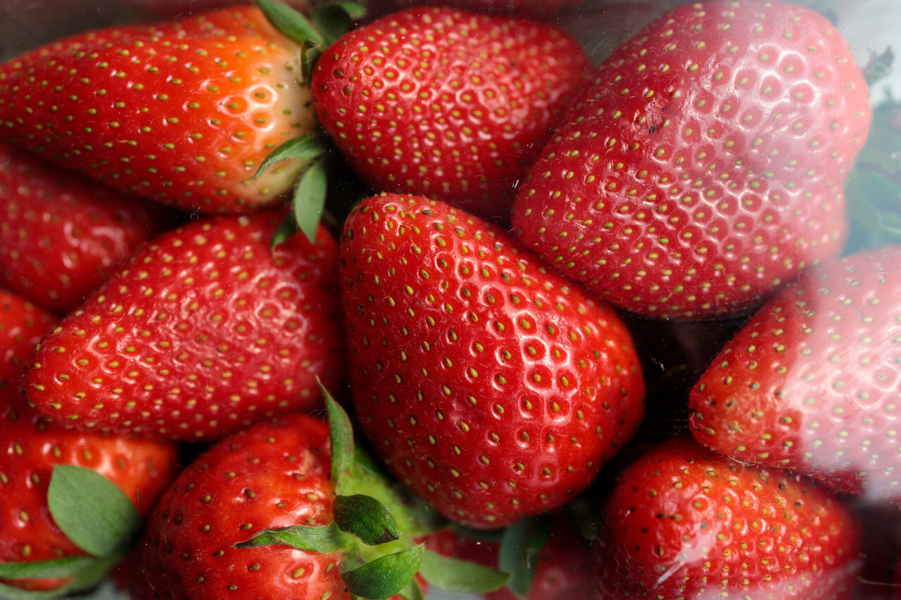 Strawberries packed in plastic