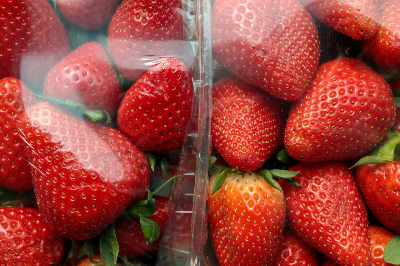 Strawberries in transparent plastic packaging