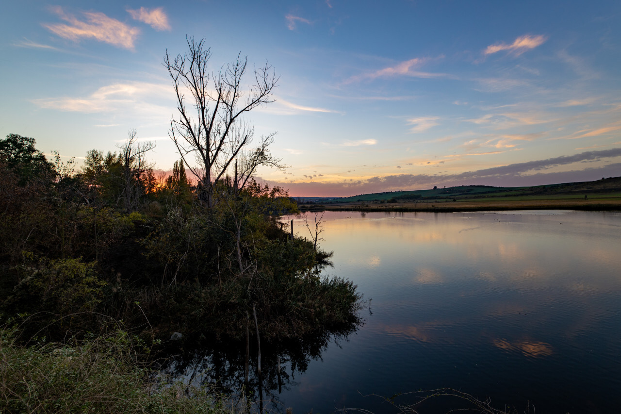 Teufe lake in germany by Amsdorf Saxony