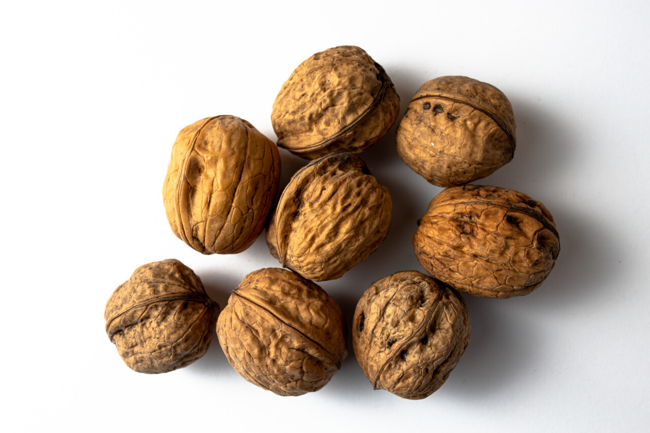 Walnuts white background