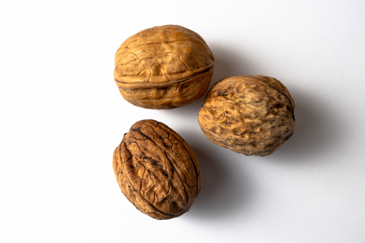 Three walnuts white background