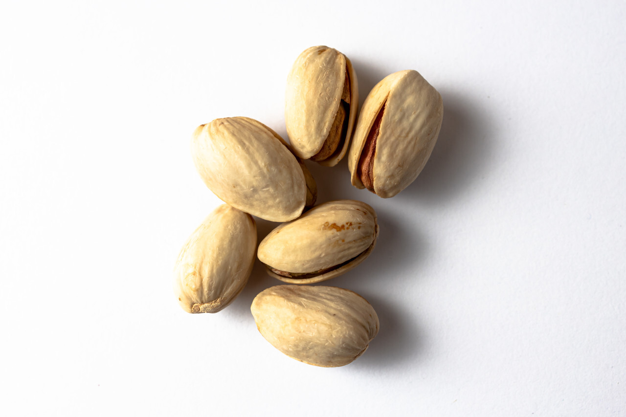 Pistachios white background