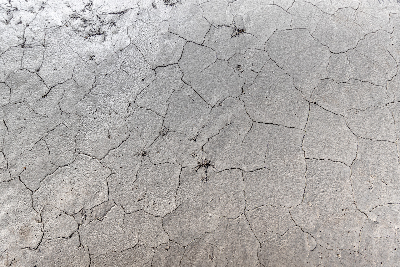 dry ground with cracks background