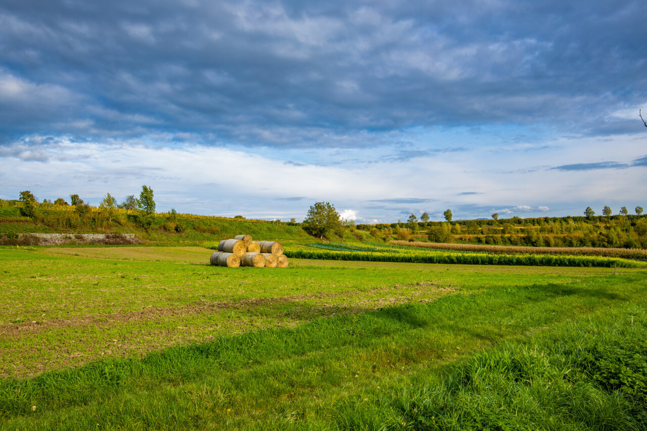 Eichsstetten am Kaiserstuhl German rural Landscape