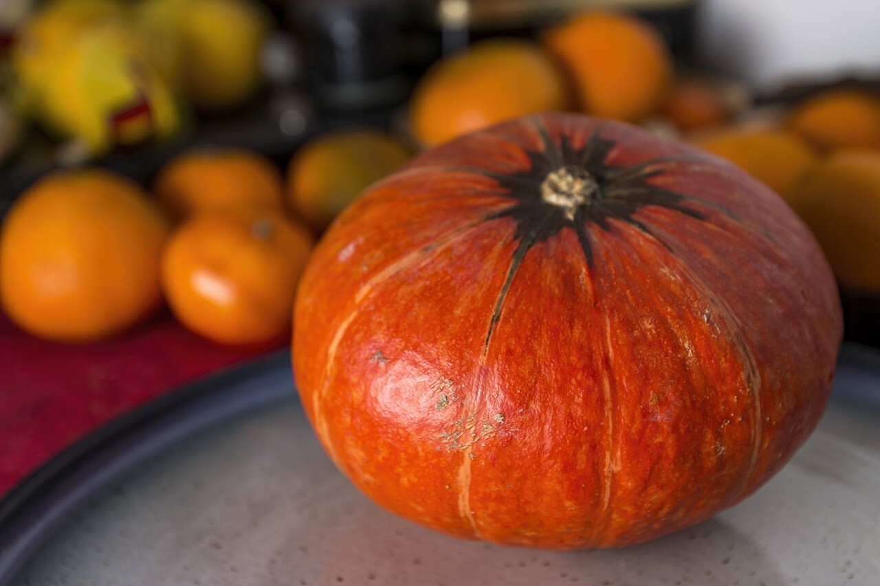 pumpkin in the kitchen