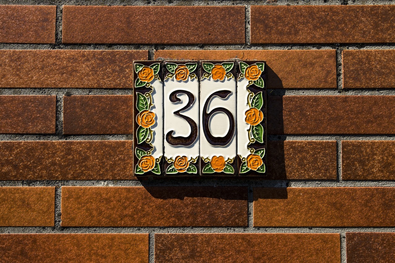 number 36 on a wall