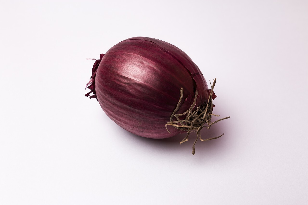 whole red onion white background