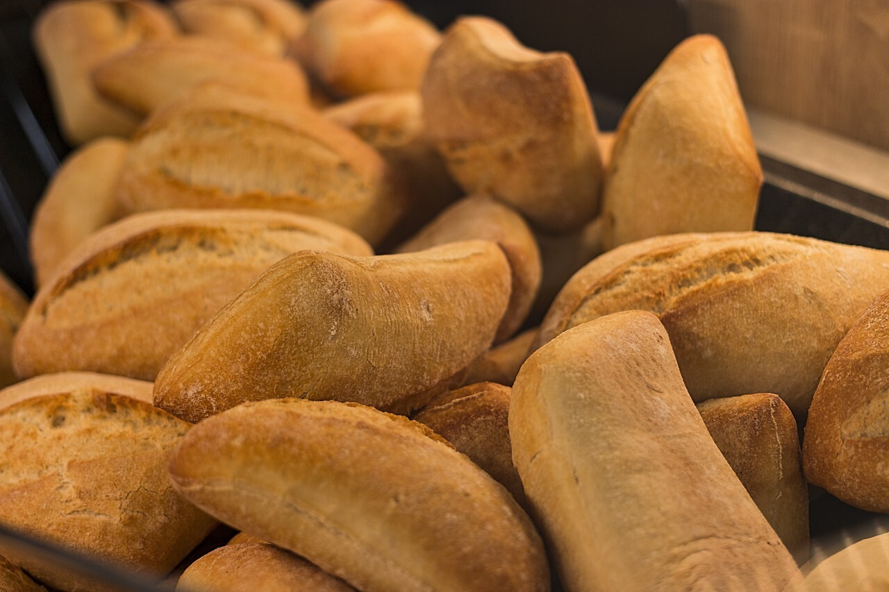 bakery ciabatta rolls