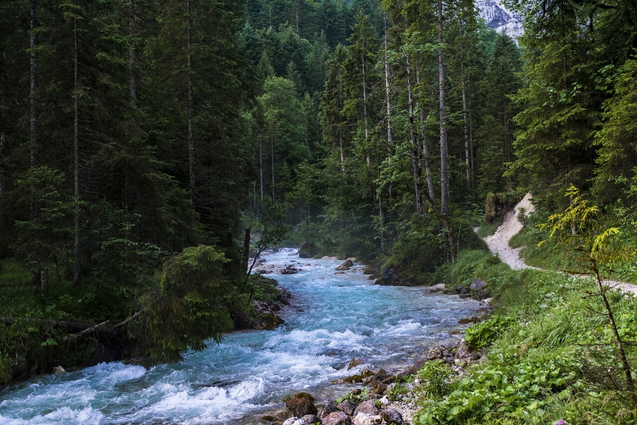 Rapid mountain stream in Alps