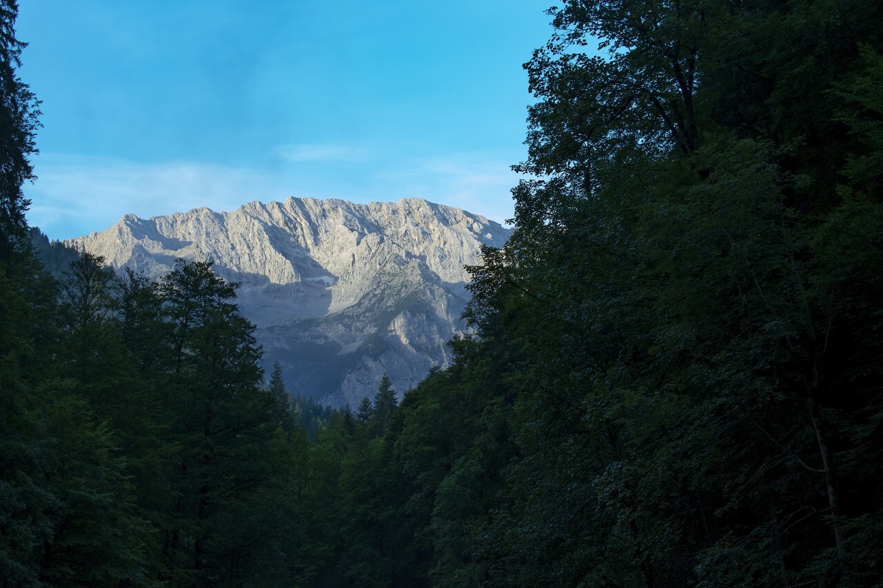 mountain between forest