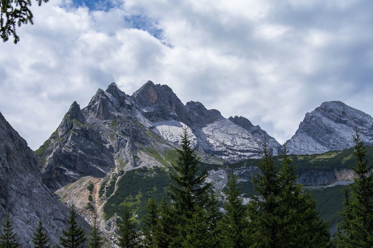 trees and mountains zugspitze