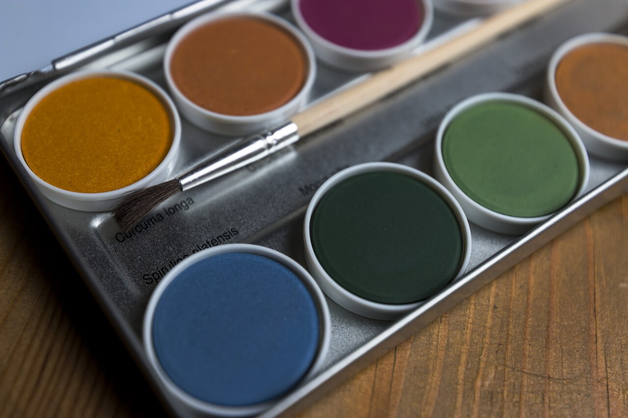 Artist's watercolour palette with brush