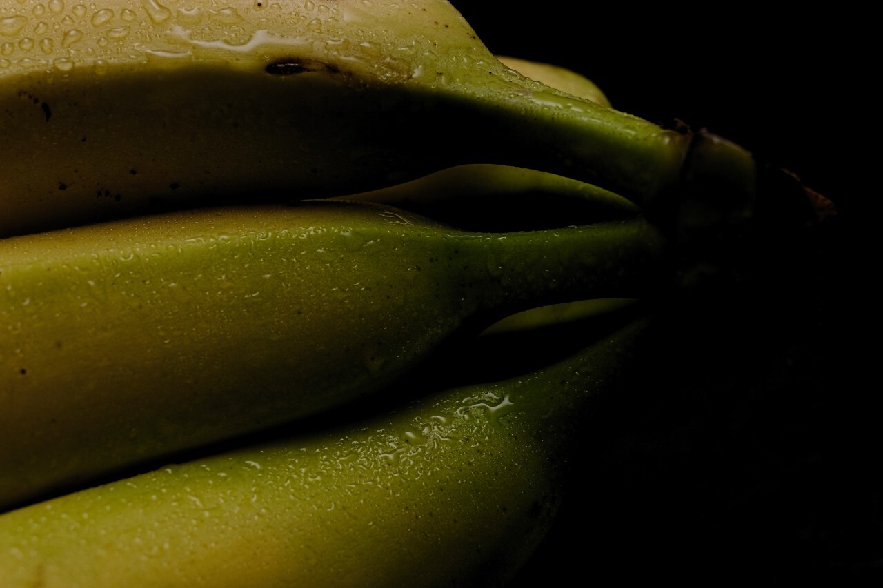 bananas wet black background