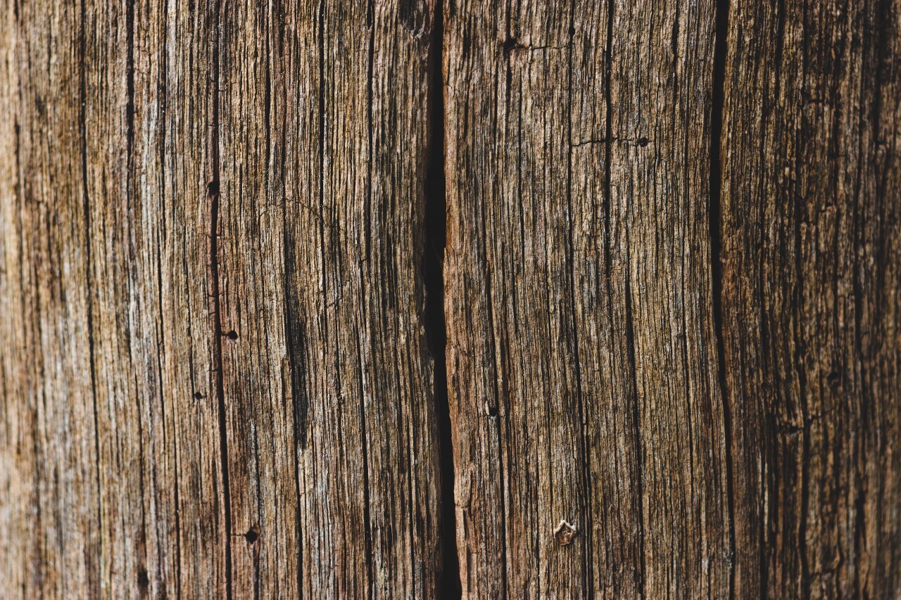 decorative grunge wood grain texture background