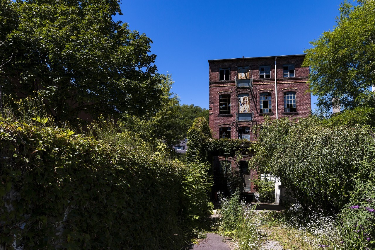 abandoned factory building