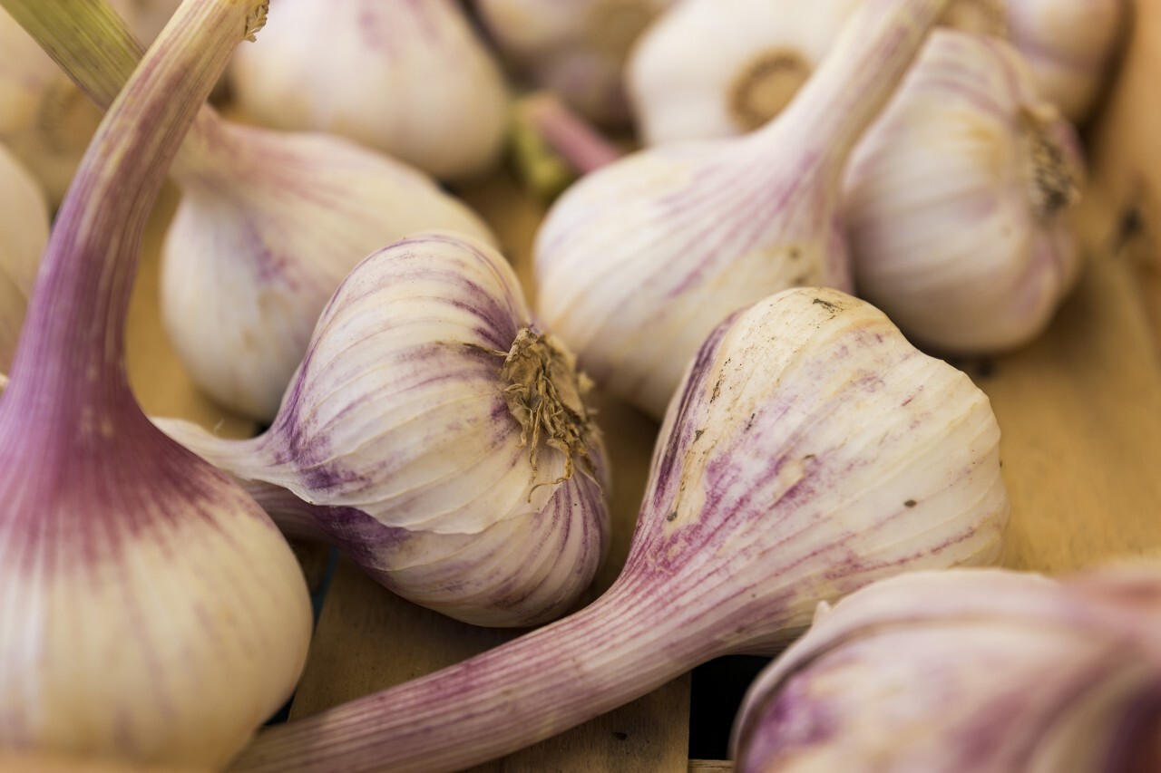 crate filled with garlic